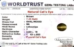 Cat's Eye - Image 2