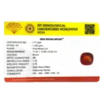 Hessonite - Premium - Image 2