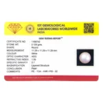 Pearl - Premium - Image 2